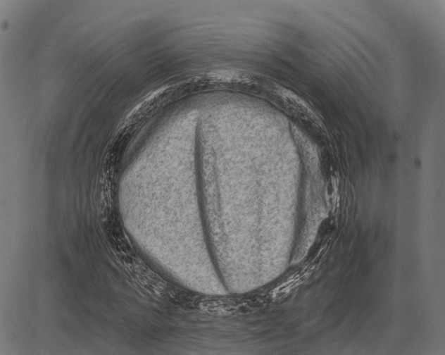 X0000082720776200702091812