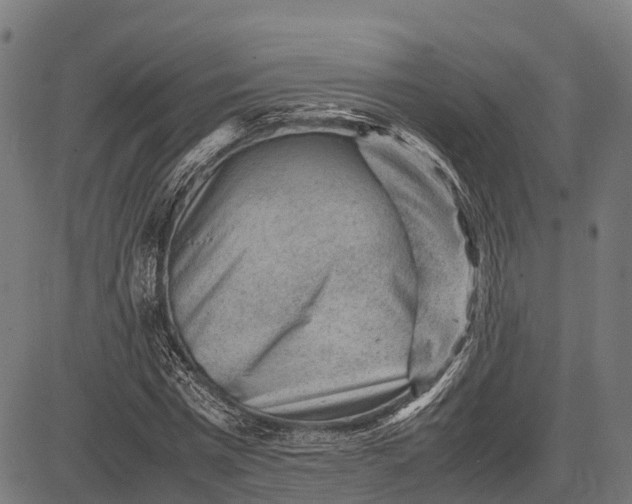 X0000082720777200702091812