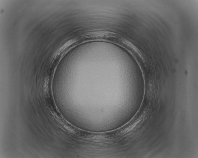 X0000082720778200702091811