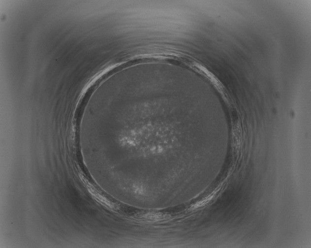 X0000082720779200702091811