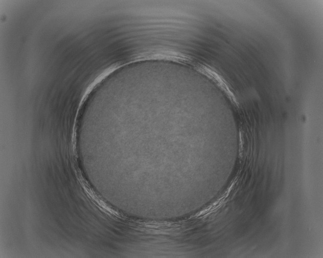 X0000082720780200702091811