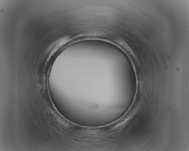 X0000082720781200702091811