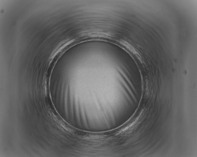 X0000082720782200702091811