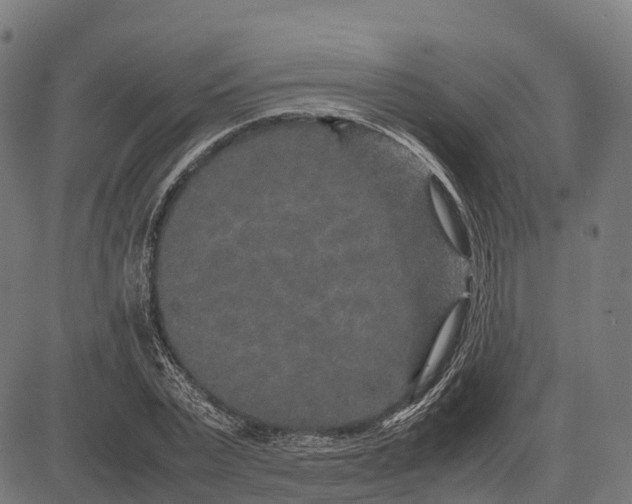 X0000082720783200702091811