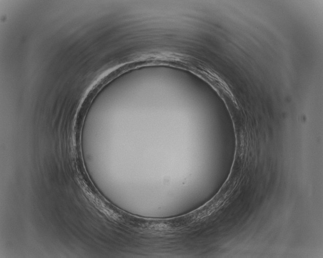 X0000082720784200702091811