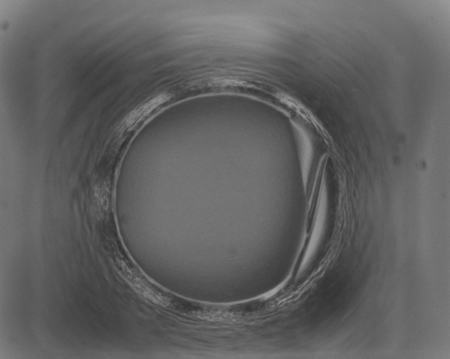 X0000082720785200702091811