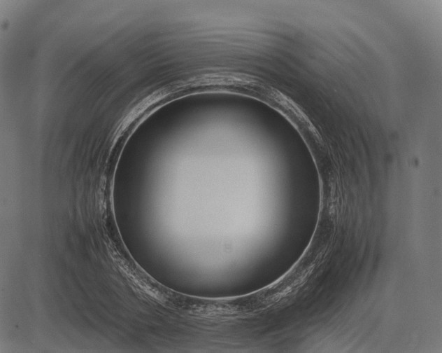 X0000082720786200702091811