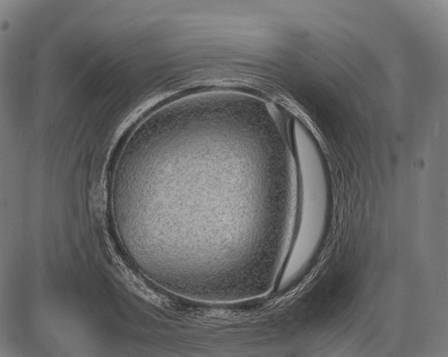 X0000082720787200702091811