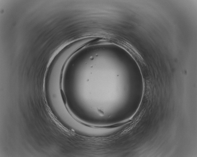 X0000082720788200702091811