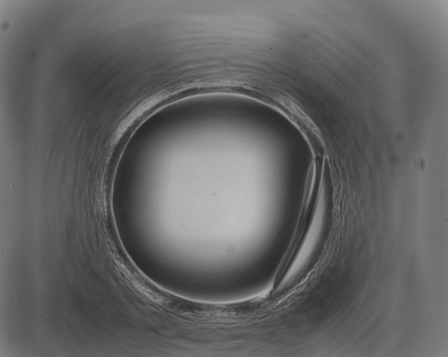 X0000082720789200702091811