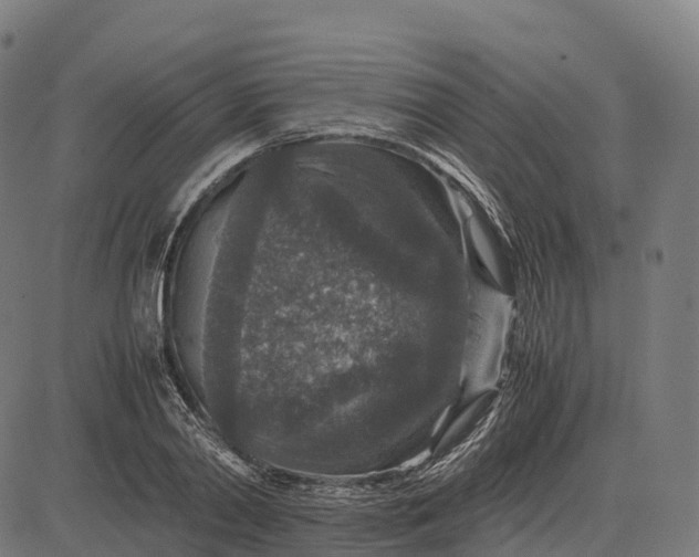 X0000082720790200702091811