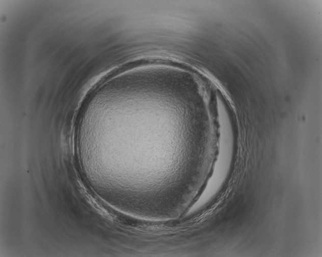 X0000082720791200702091811