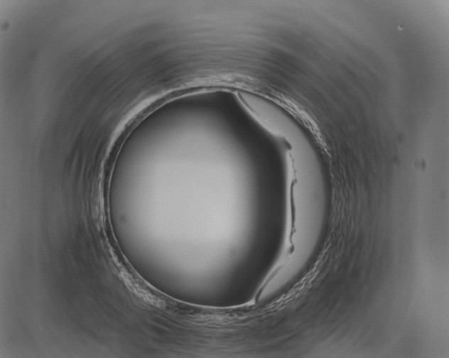 X0000082720792200702091811