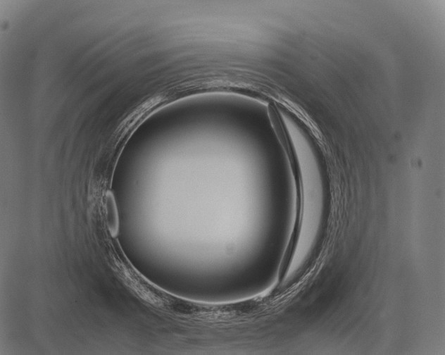 X0000082720793200702091811