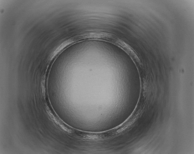 X0000082720794200702091811