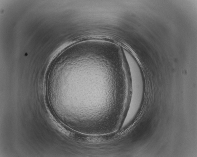 X0000082720795200702091811