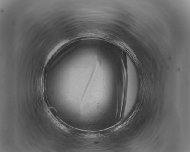 X0000082720796200702091811