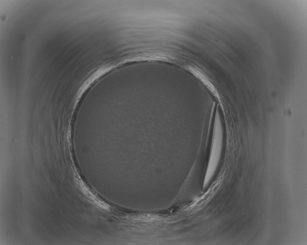 X0000082720797200702091811