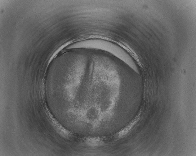 X0000082720798200702091811