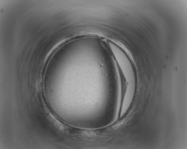 X0000082720799200702091811