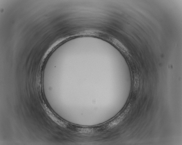 X0000082720800200702091811