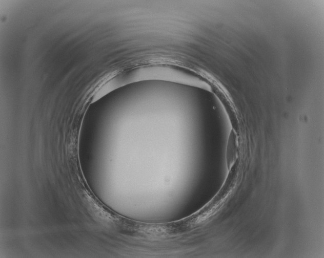 X0000082720801200702091811