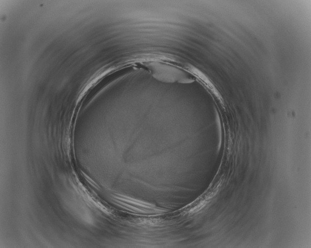 X0000082720802200702091811