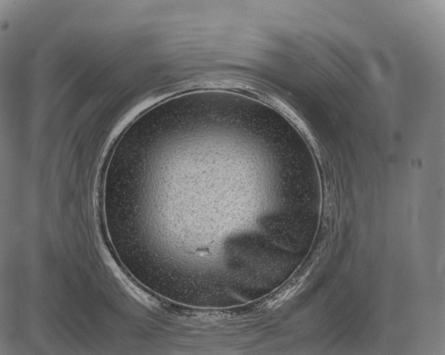 X0000082720803200702091811