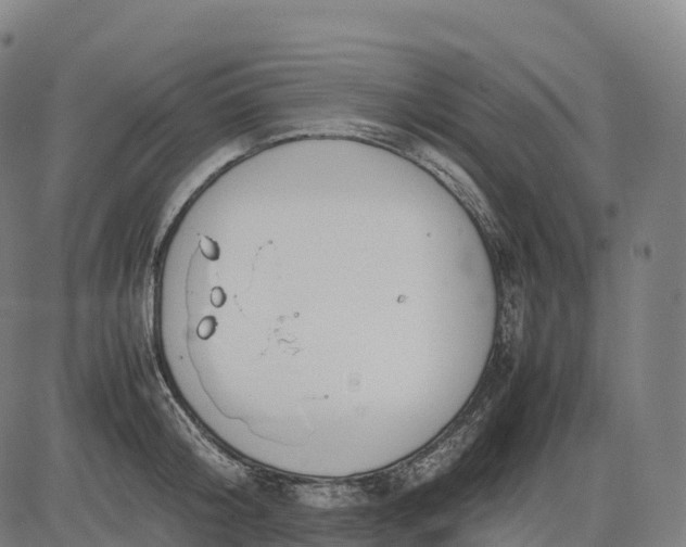 X0000082720804200702091811