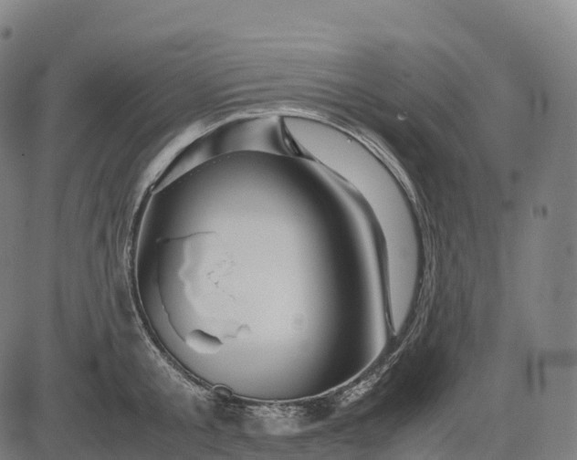 X0000082720805200702091811