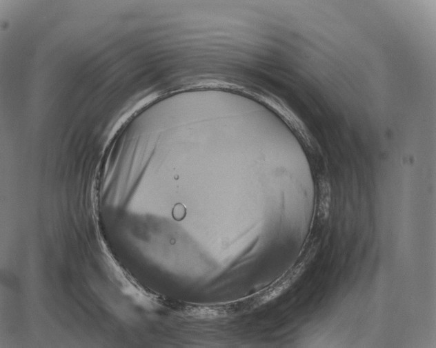 X0000082720806200702091811