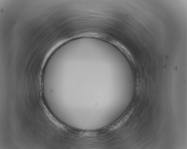 X0000082720808200702091811