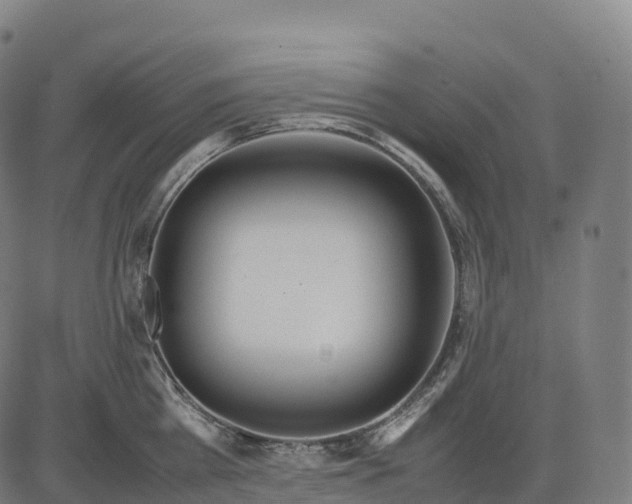 X0000082720809200702091811