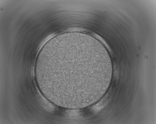 X0000082720810200702091811