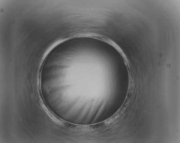 X0000082720811200702091811