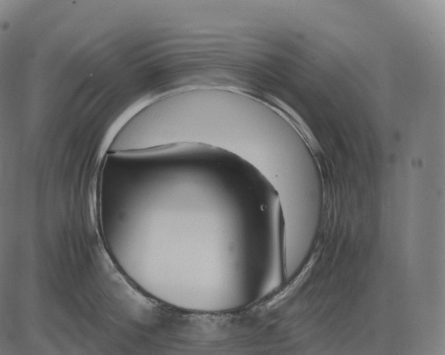 X0000082720812200702091811