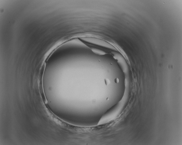 X0000082720813200702091811