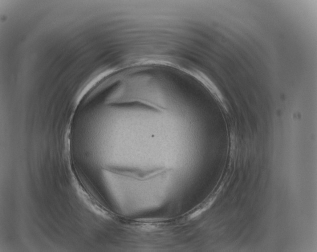 X0000082720814200702091811