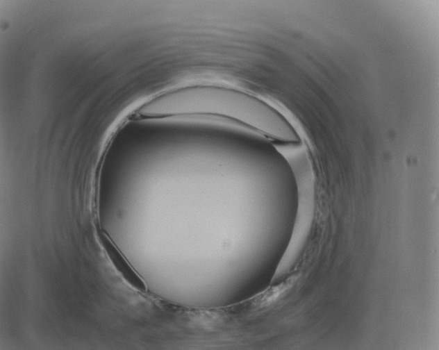 X0000082720815200702091811