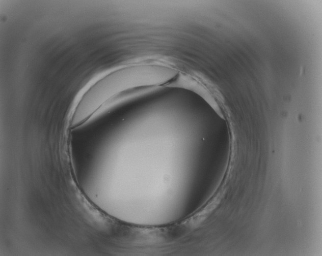 X0000082720816200702091811