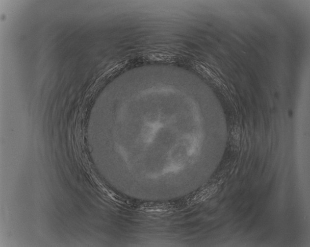 X0000082720817200702091810