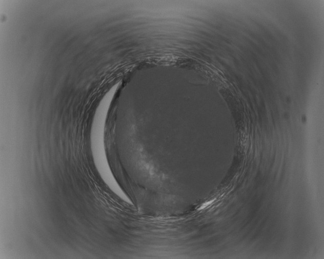 X0000082720818200702091810