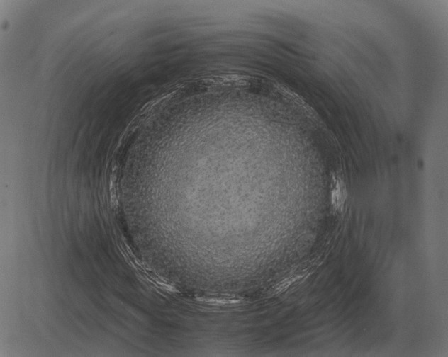 X0000082720819200702091810