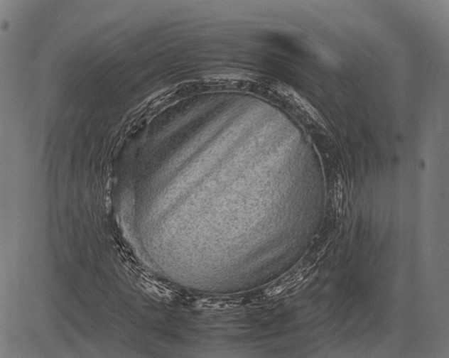 X0000082720821200702091810