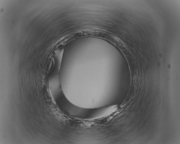 X0000082720822200702091810