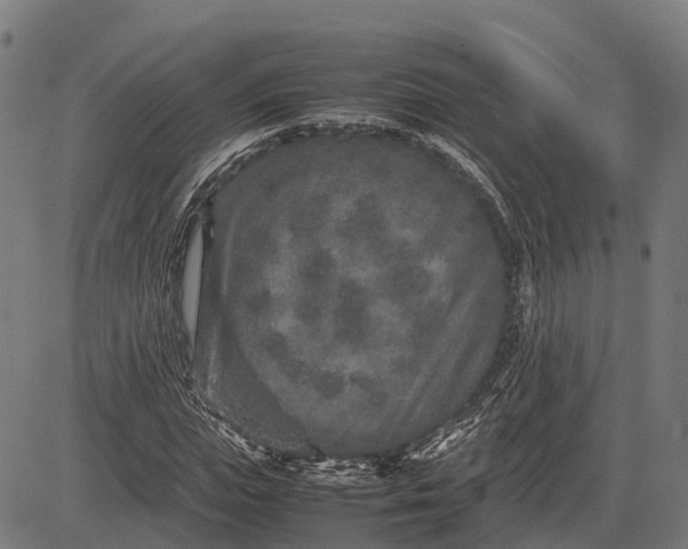 X0000082720823200702091810