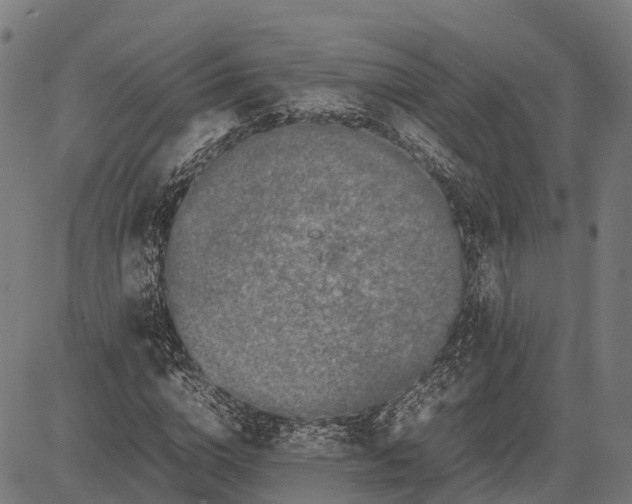 X0000082720824200702091810