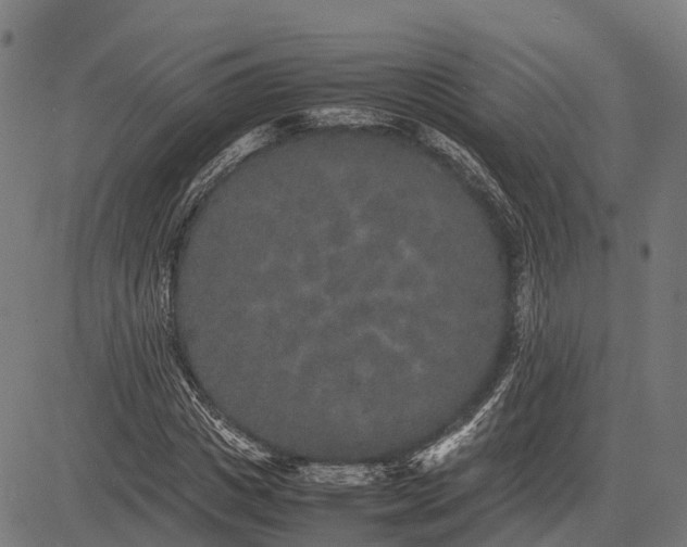 X0000082720825200702091810