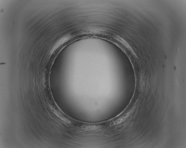 X0000082720826200702091810