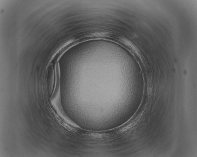 X0000082720827200702091810